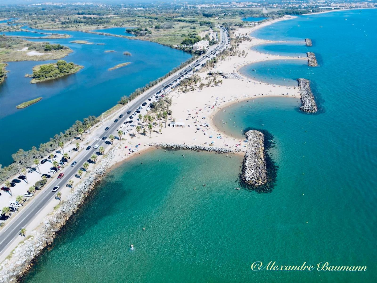 Chez Madou, T1 En Bas De Villa Et Rez De Jardin A 900M De La Mer Et Des Commerces Fréjus Eksteriør billede